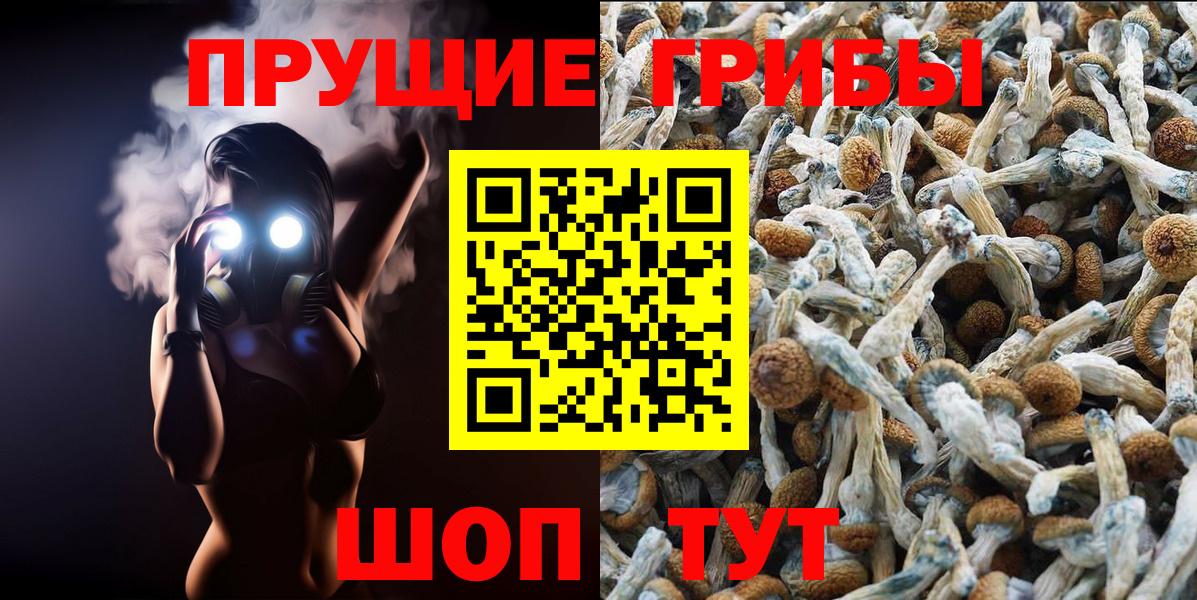 Нижнеудинск  Псилоцибиновые грибы мицелий  Вход с VPN 