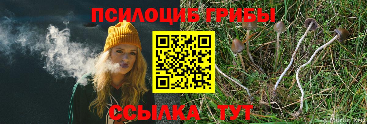 Галлюциногенные грибы MAGIC MUSHROOMS Нижнеудинск